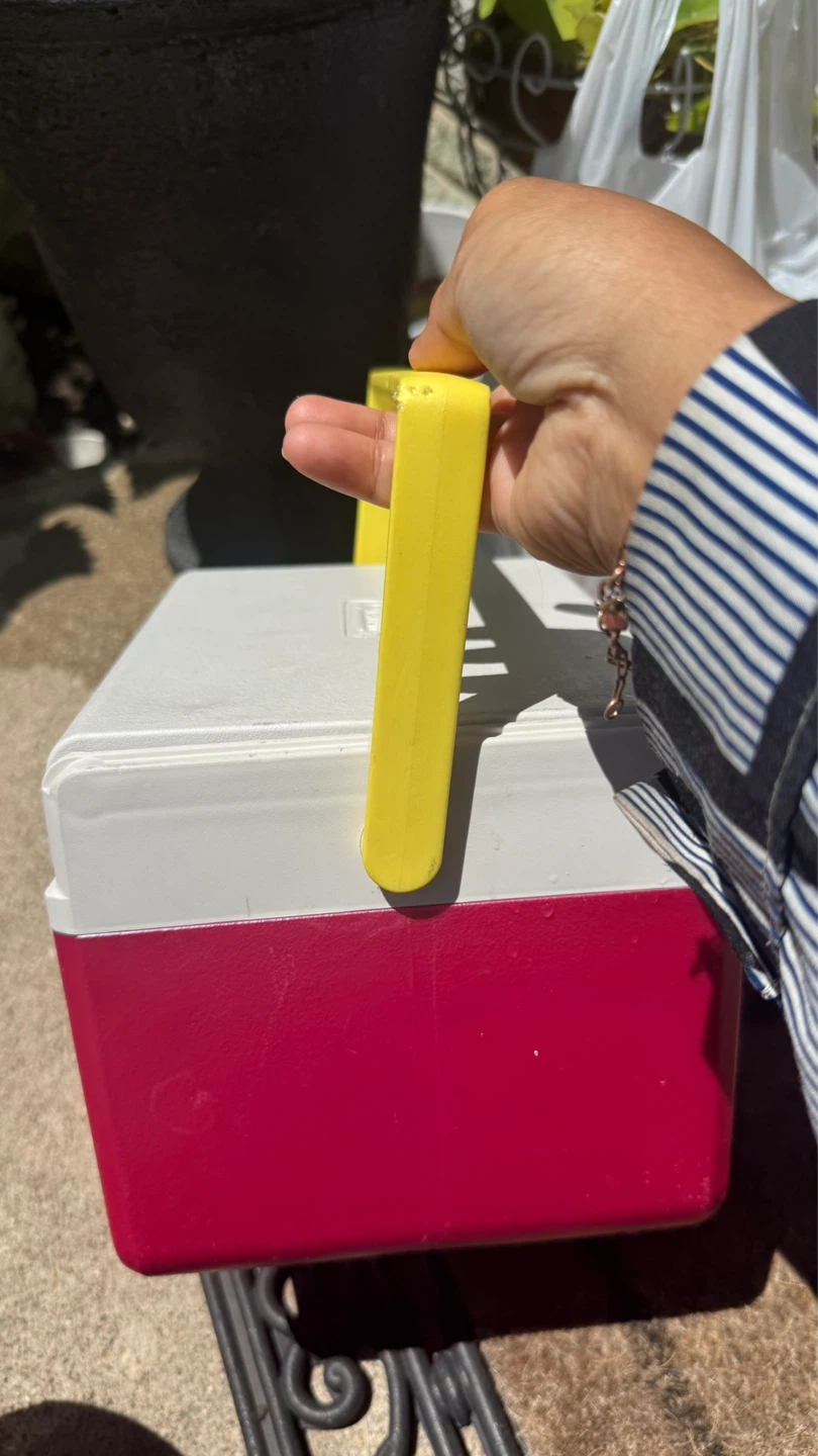 Coleman Take 6 Flip-Up Cooler check more pictures - photo 3