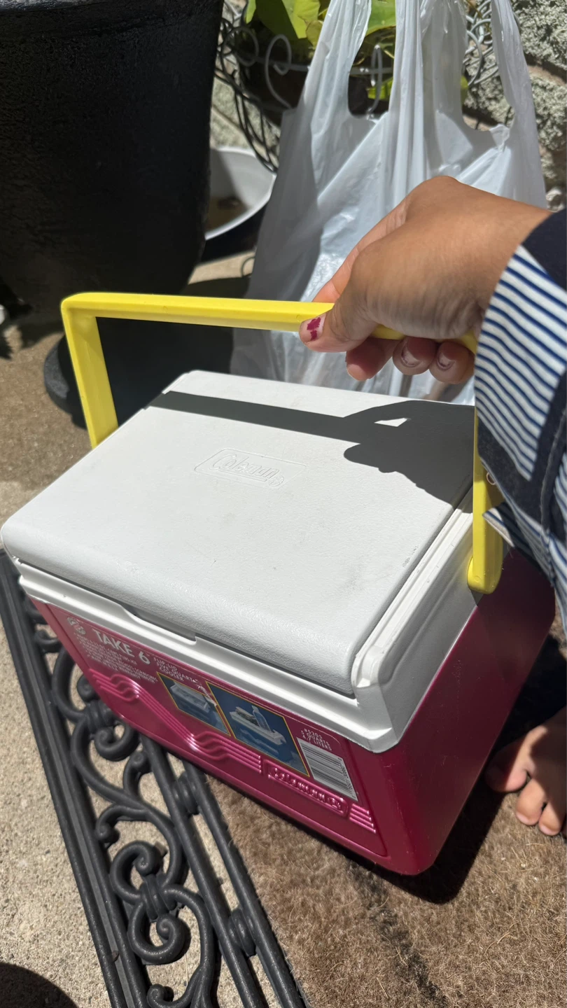 Coleman Take 6 Flip-Up Cooler check more pictures - photo 2