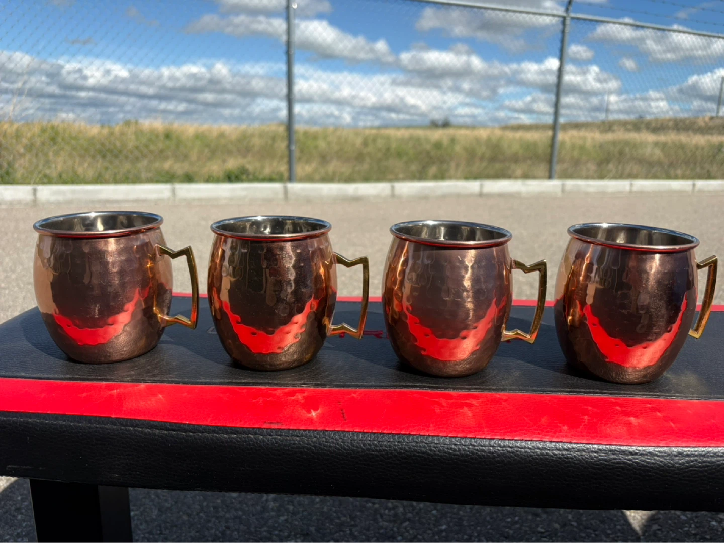 Set of 4 Hammered Copper Moscow Mule Mugs