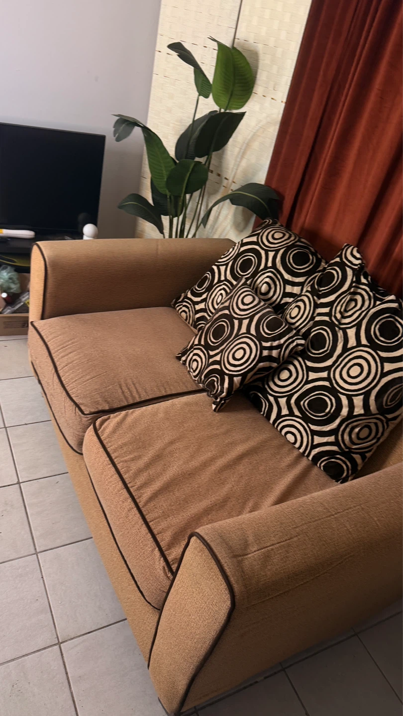 Loveseat / 2 Seater Couch - photo 3
