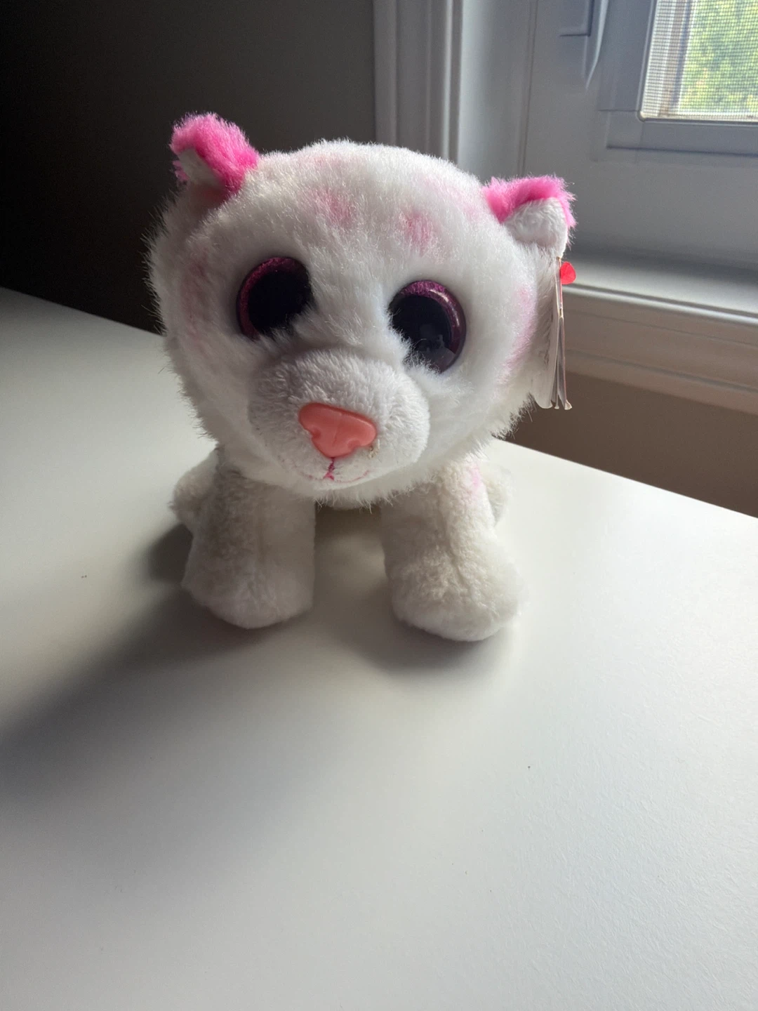 Ty Beanie Boos 6”- Tabor Nov 6
