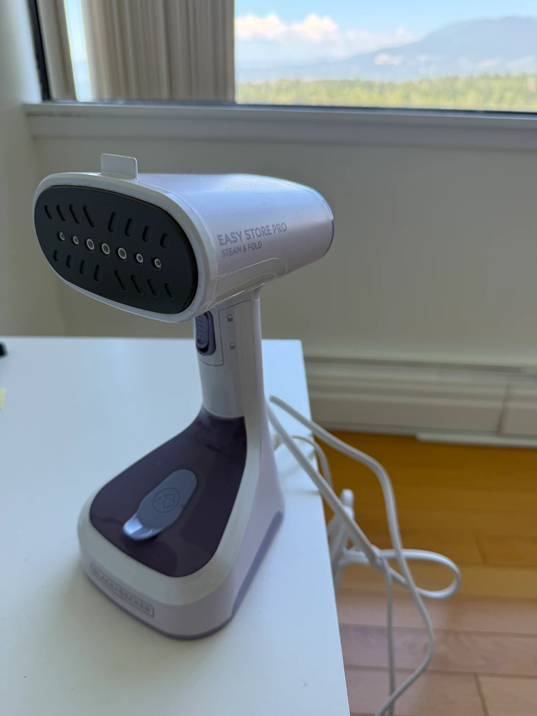 BLACK+DECKER Easy Store Pro Handheld Steamer