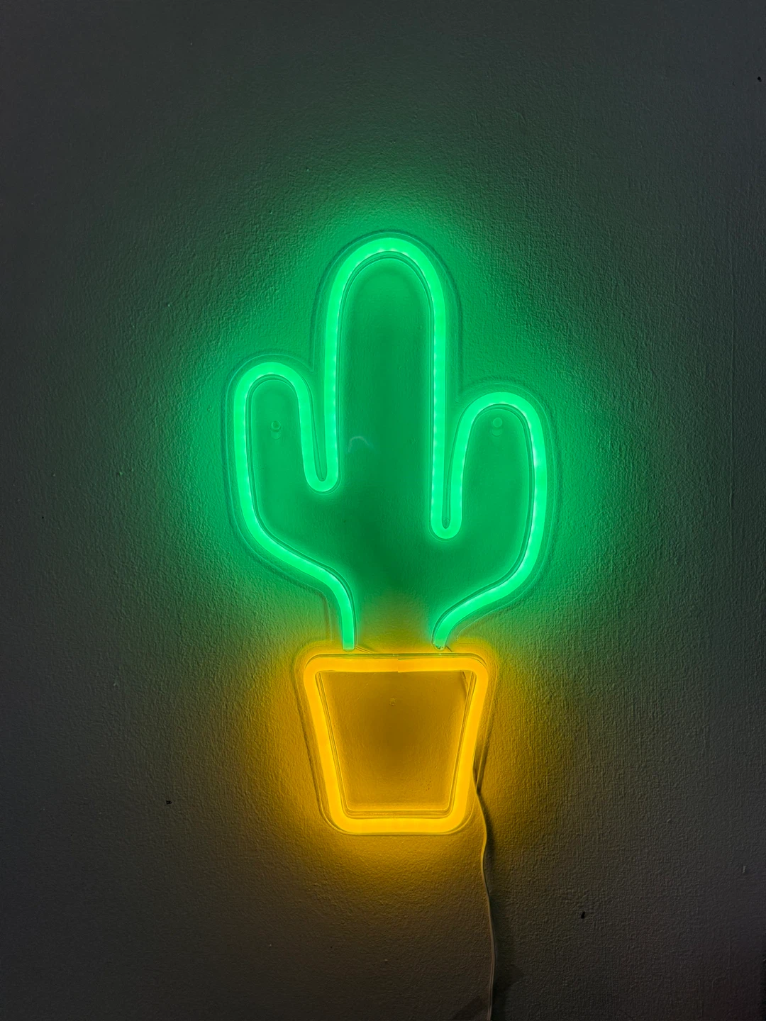 Neon Light Signs (Ice Cream & Cactus) - $5 for Both