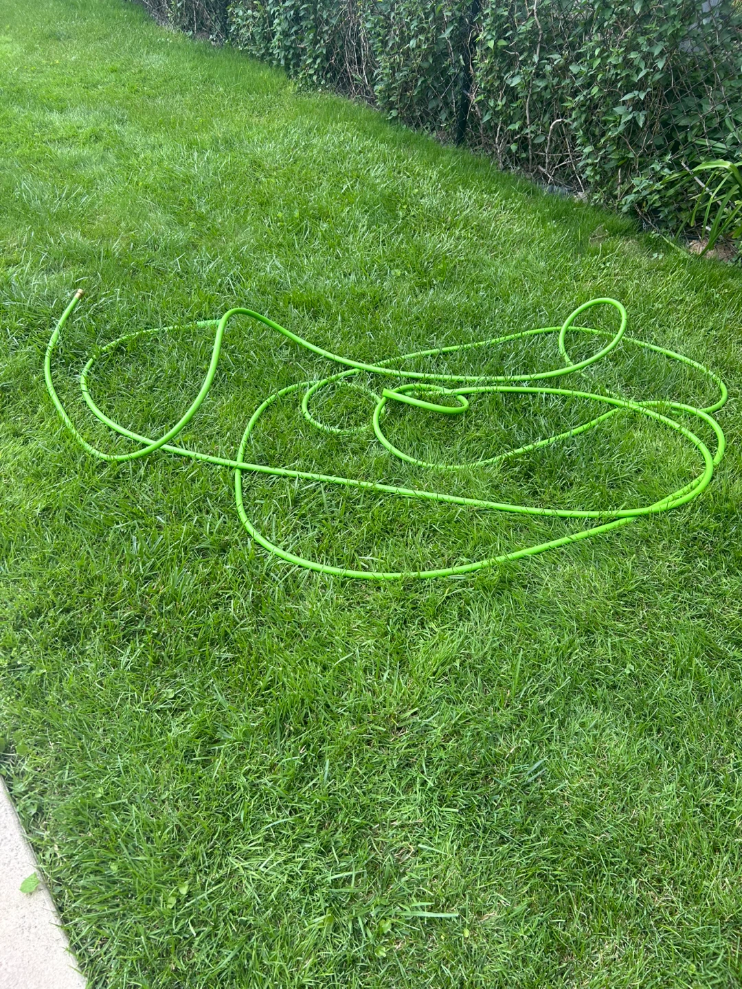 Green Garden Hose