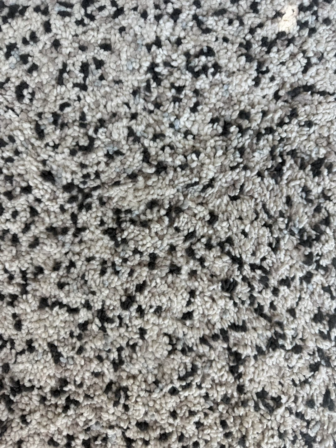 Gray and White Speckled Area Rug - photo 2