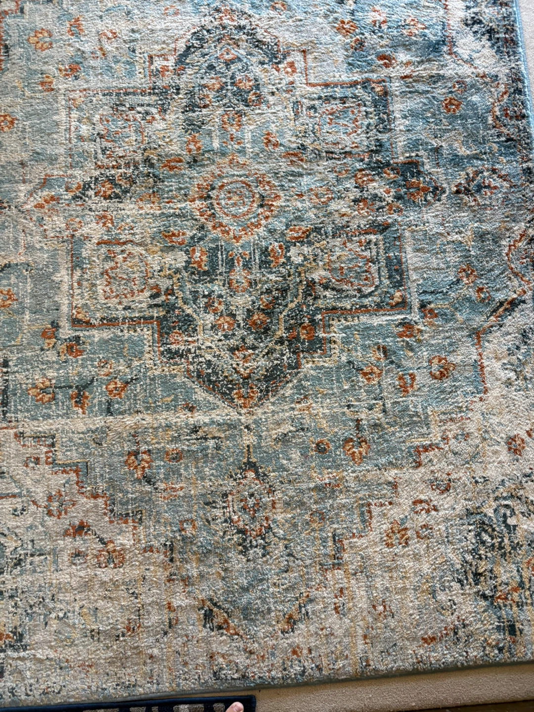Distressed Medallion Area Rug