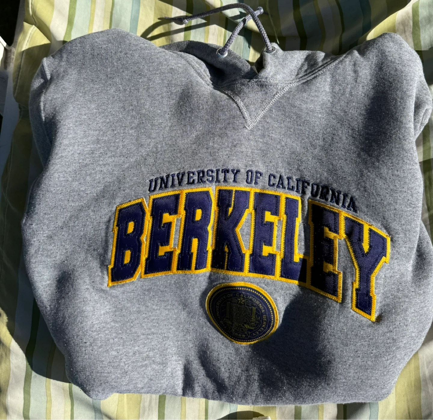 Russell Athletic University of California Berkeley Hoodie - photo 2