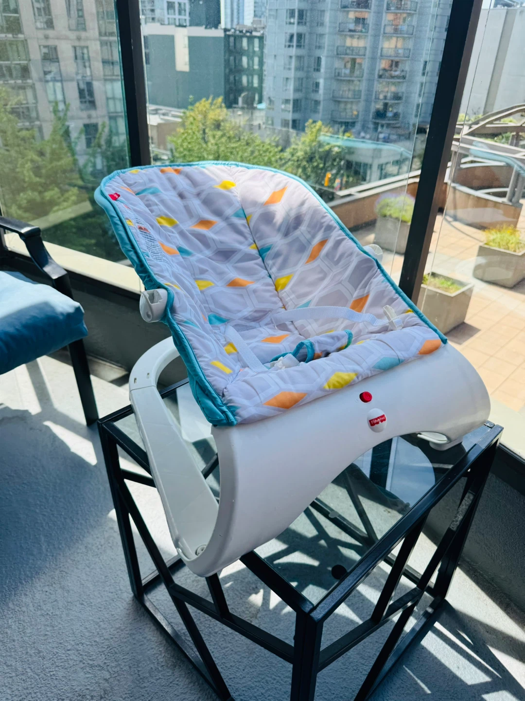 Fisher-Price Baby Bouncer Seat