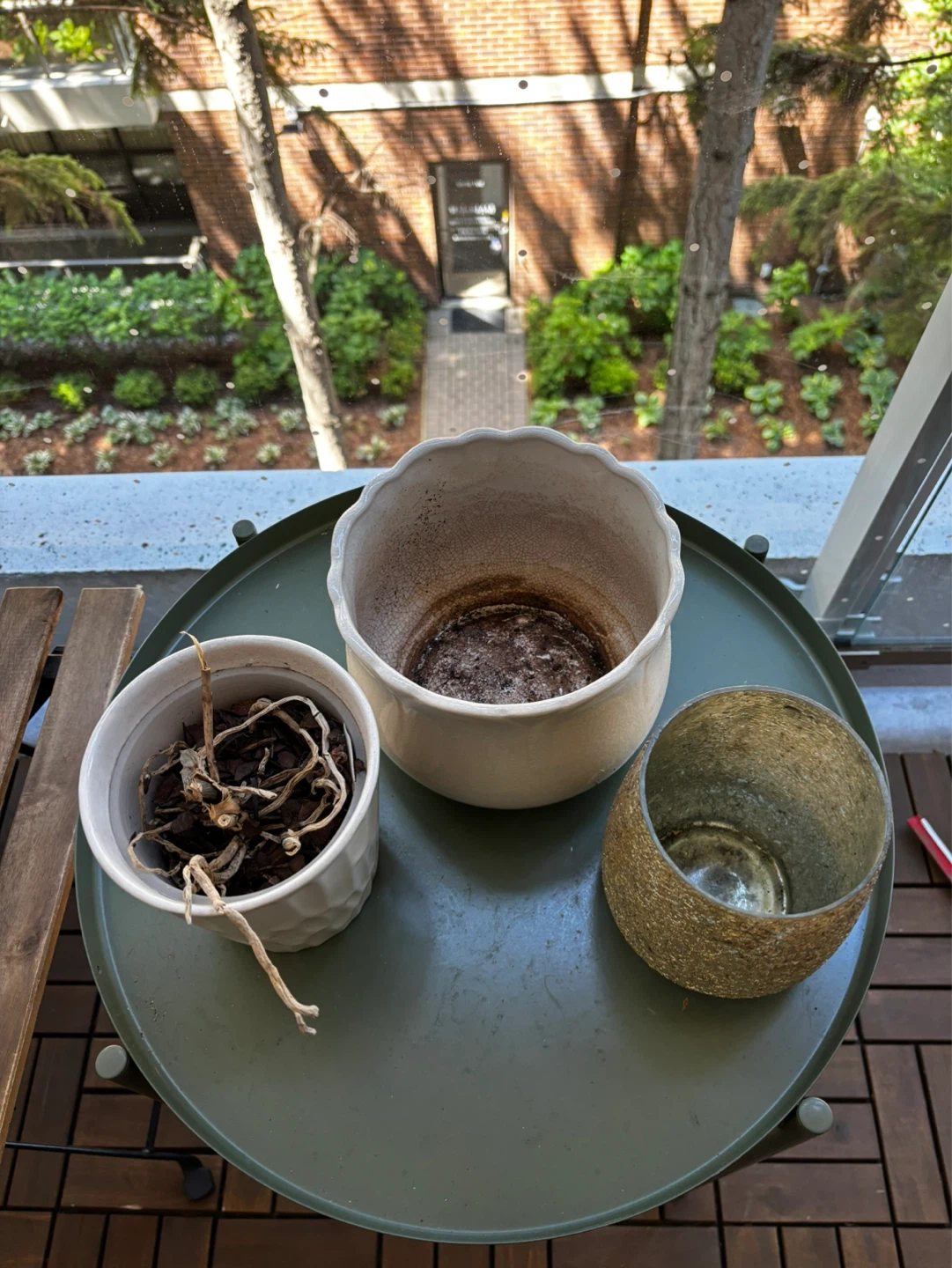 3 Potting Vases and Organic Potting Mix - photo 2