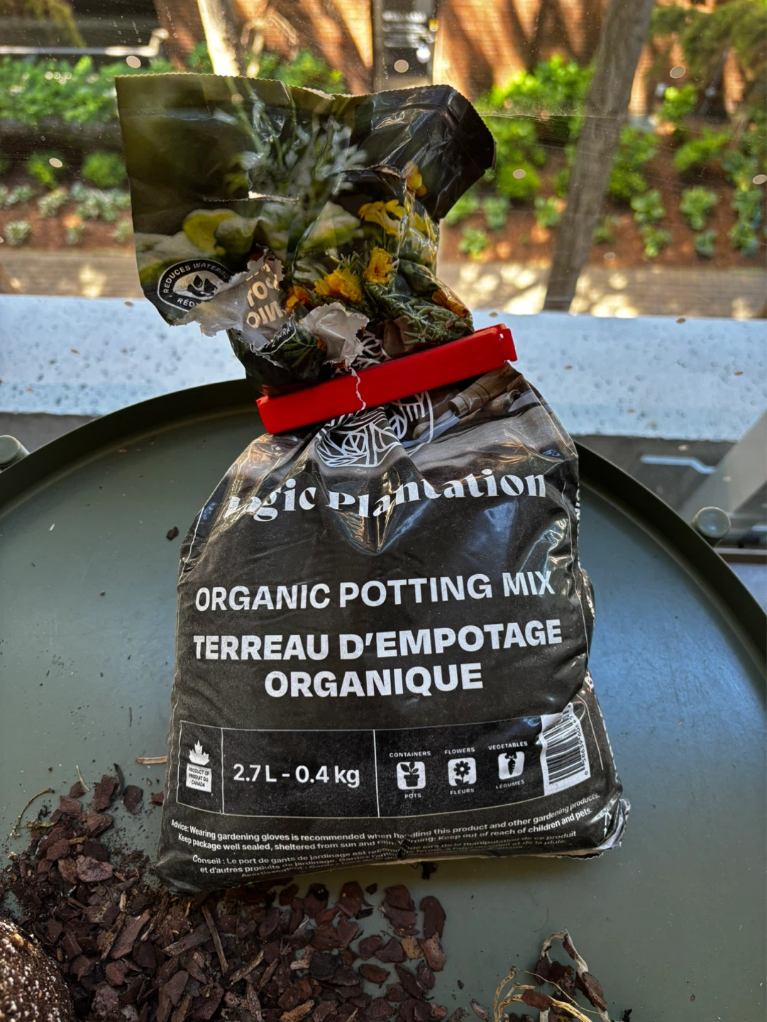 3 Potting Vases and Organic Potting Mix - photo 3