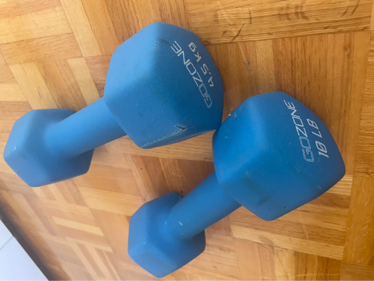 GoZone Dumbbells - 10 LB / 4.5 KG Pair