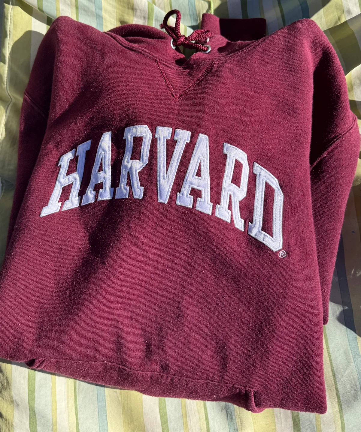 Vintage Russell Athletic Harvard Hoodie - photo 5