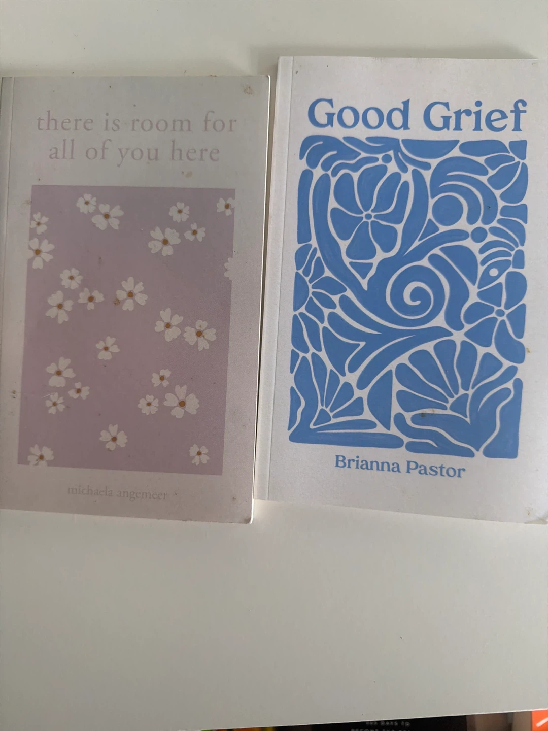 Good Grief by Brianna Pastor | Poetry Collection - photo 4