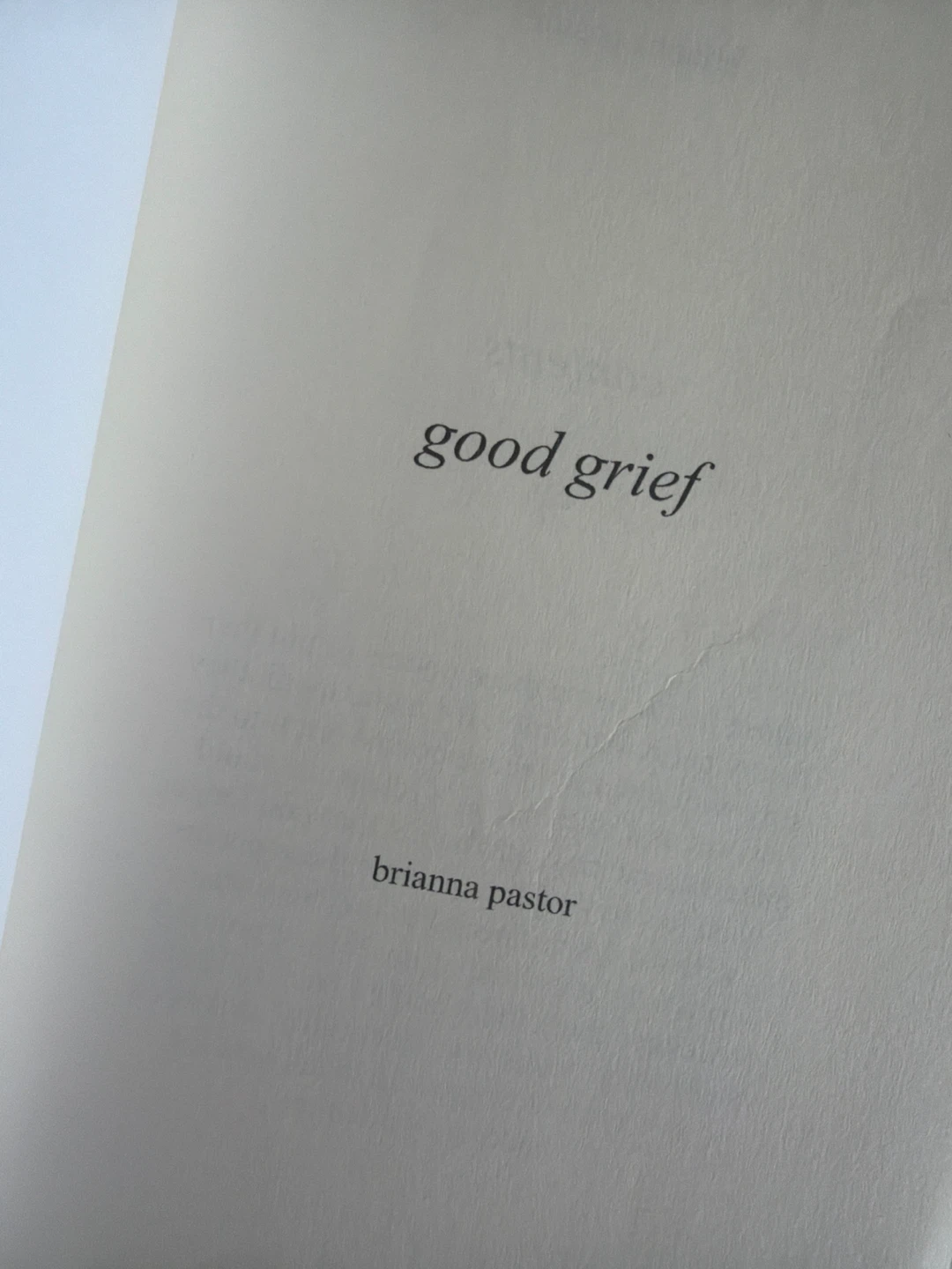 Good Grief by Brianna Pastor | Poetry Collection - photo 3