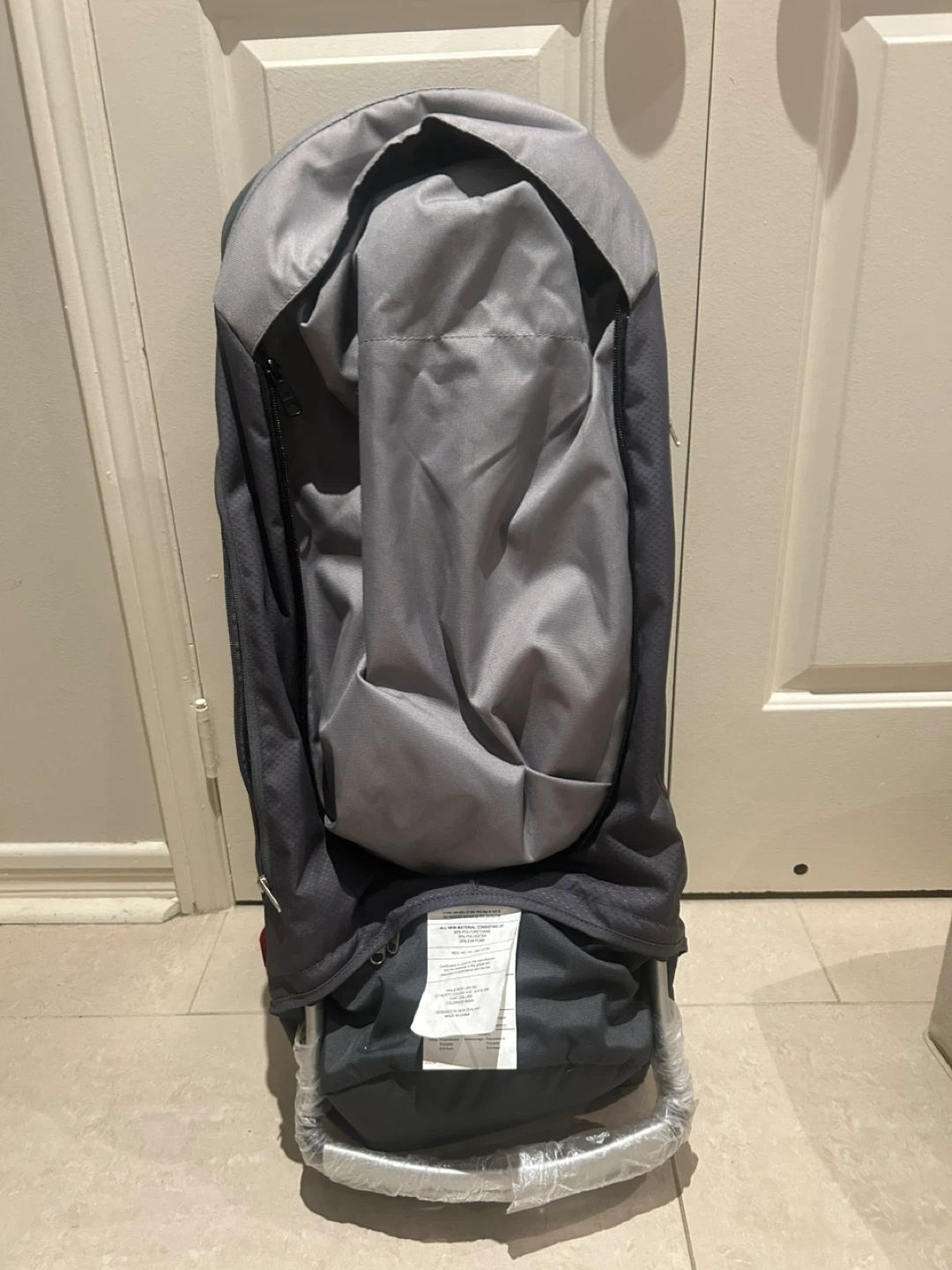 Phil & Teds Child Carrier Backpack