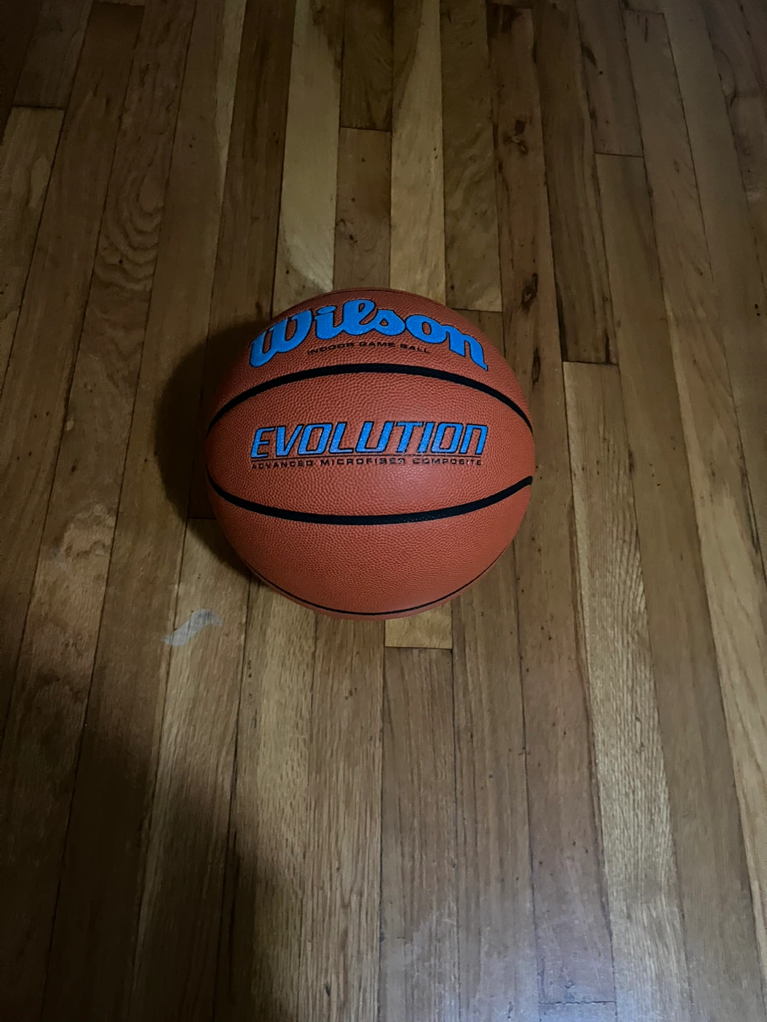 Wilson Evolution Indoor Game Basketball