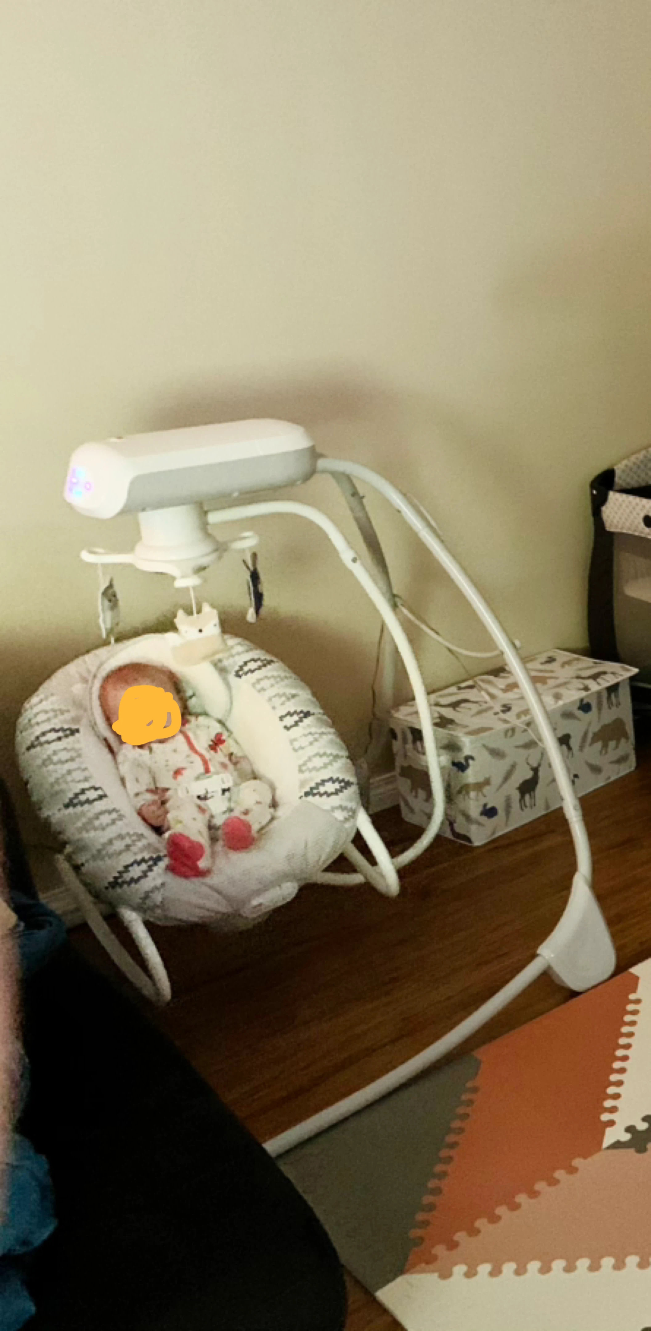 Fisher-Price 2-in-1 Deluxe Cradle 'N Swing - photo 2