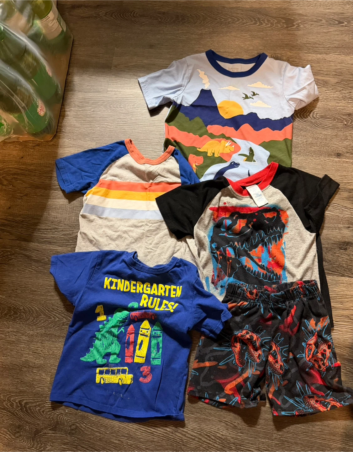 Kids Dinosaur T-Shirts and Shorts Set