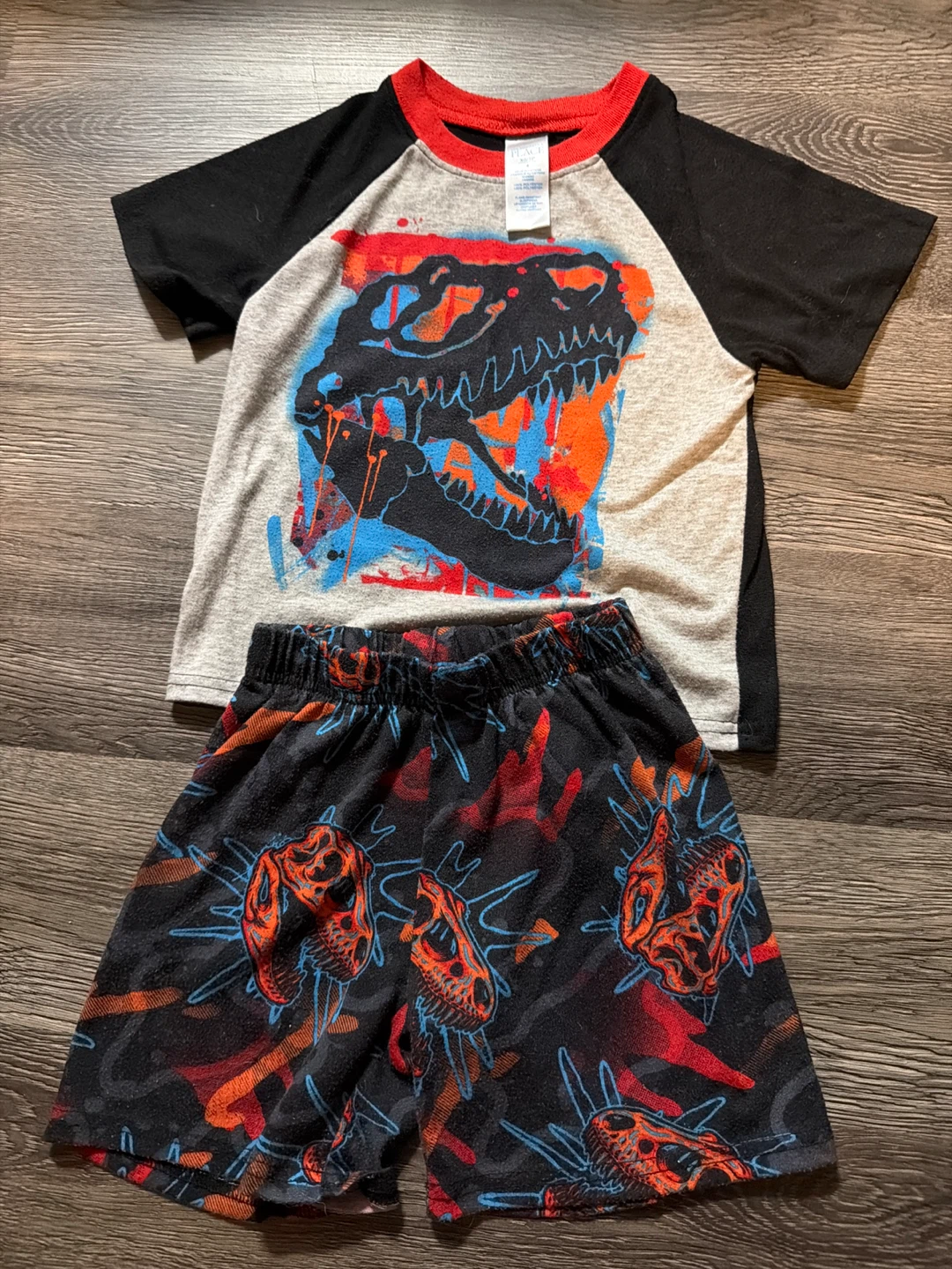 Kids Dinosaur T-Shirts and Shorts Set - photo 2