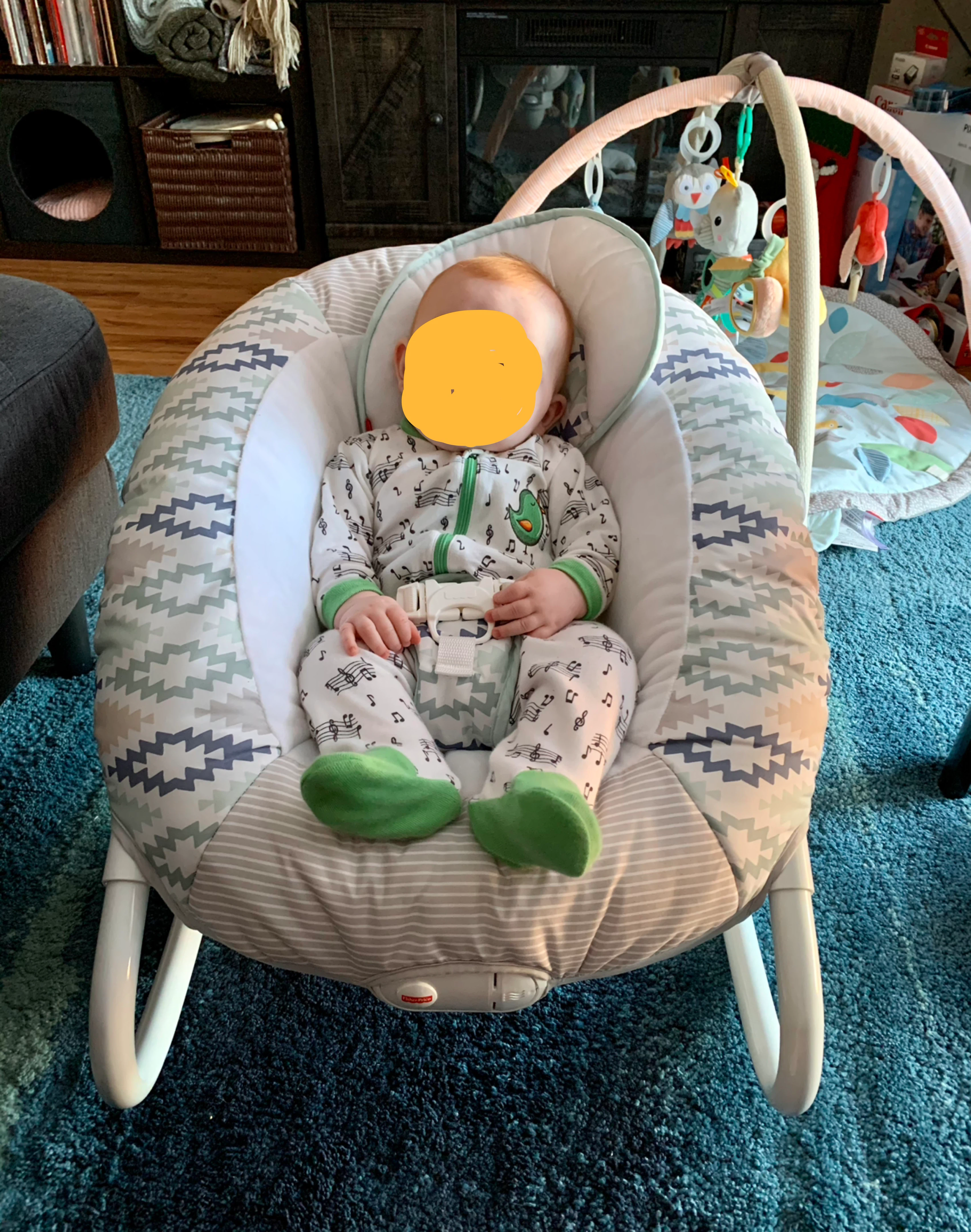 Fisher-Price 2-in-1 Deluxe Cradle 'N Swing - photo 3
