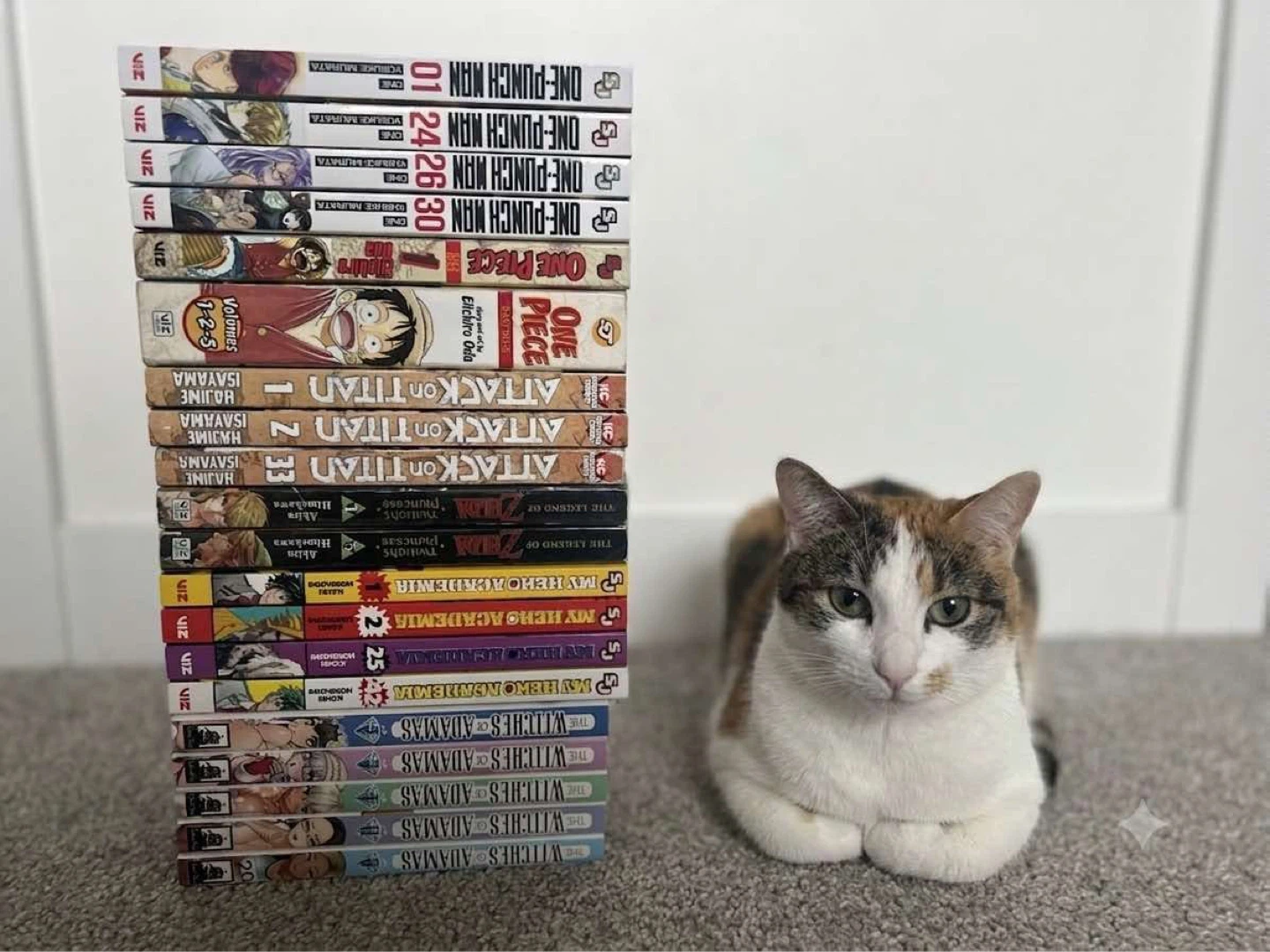 🚨BeGone!🚨 Random Manga Haul