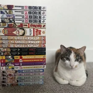 🚨BeGone!🚨 Random Manga Haul