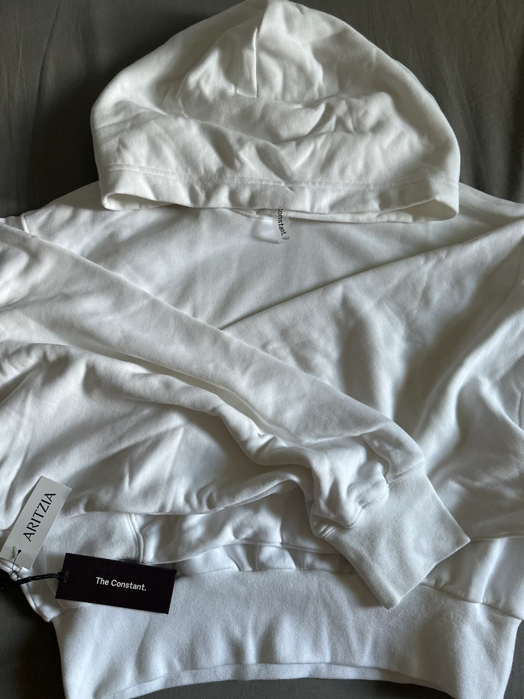 Aritzia The Constant White Hoodie