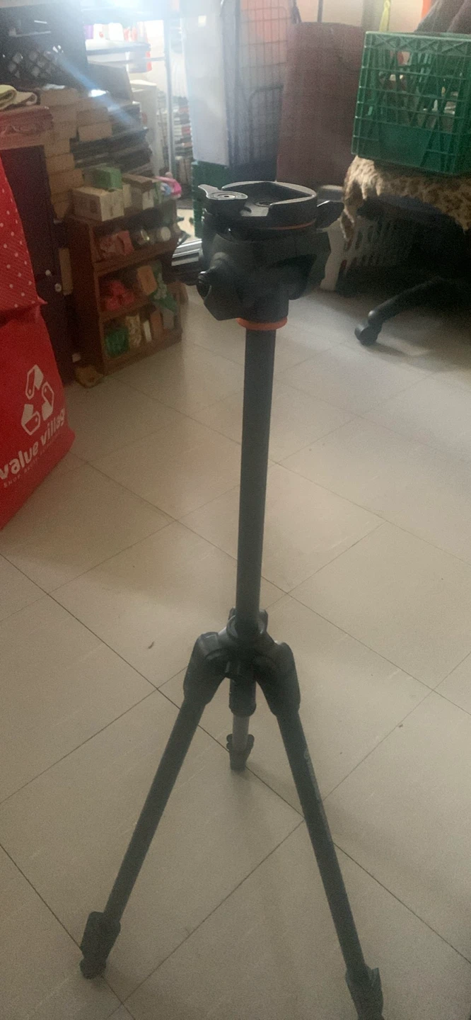 Vanguard Espod CX 203AP Tripod - photo 4