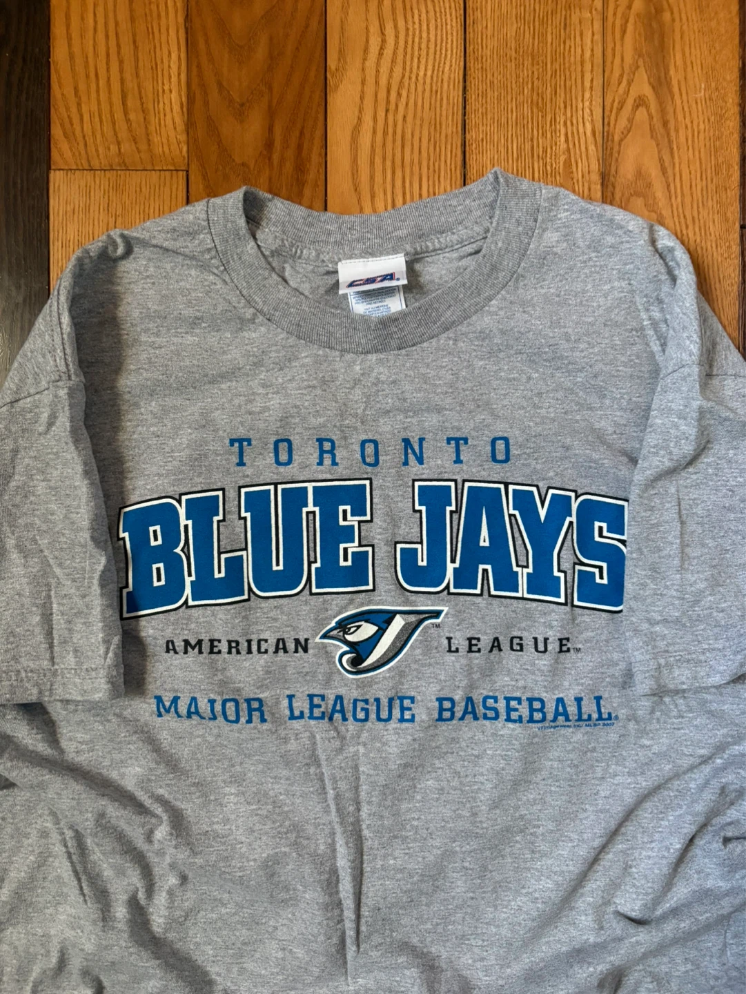 Vintage Toronto Blue Jays tee y2k alternate L
