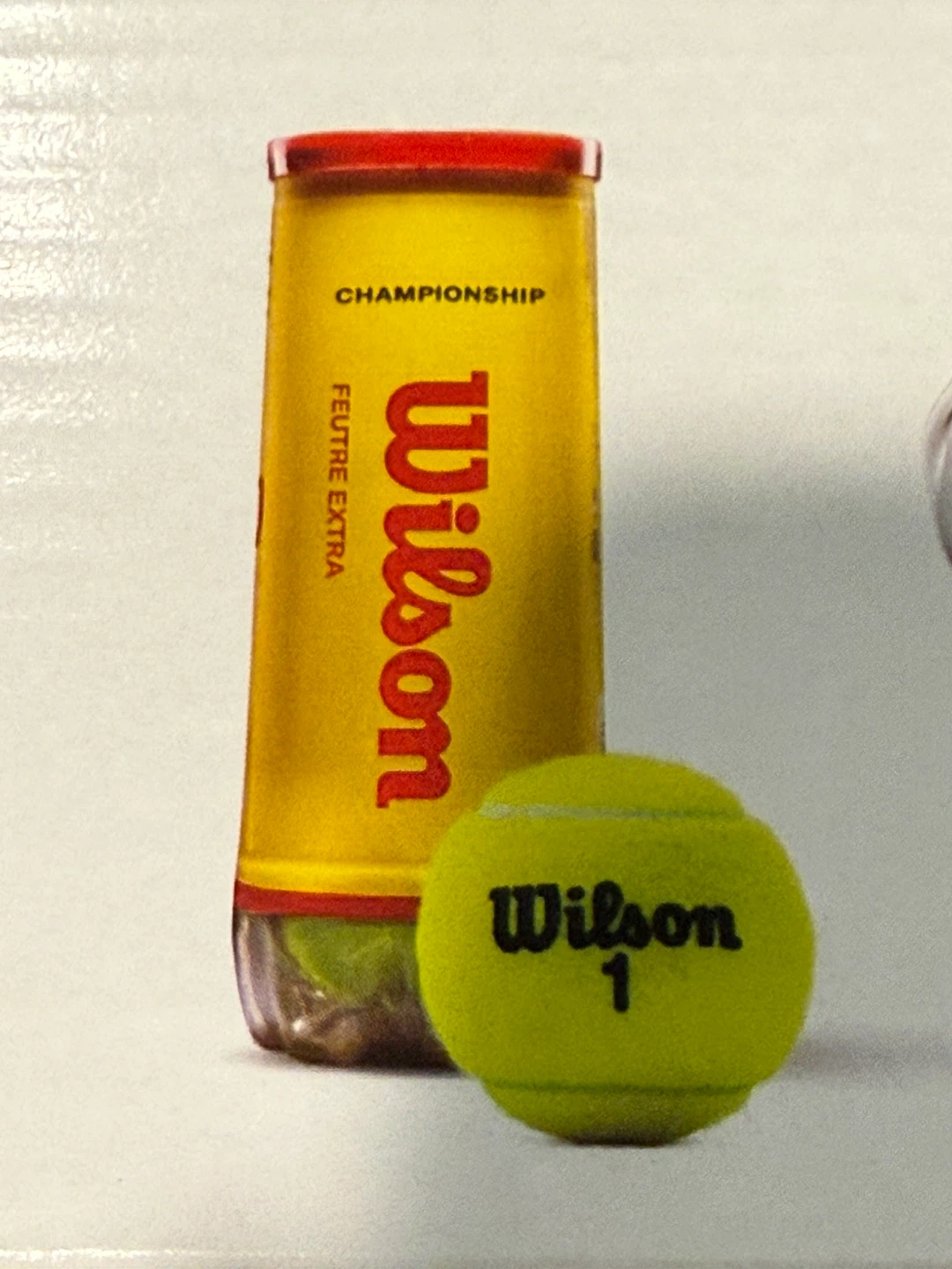 Wilson Championship Extra Duty Tennis Balls - photo 2
