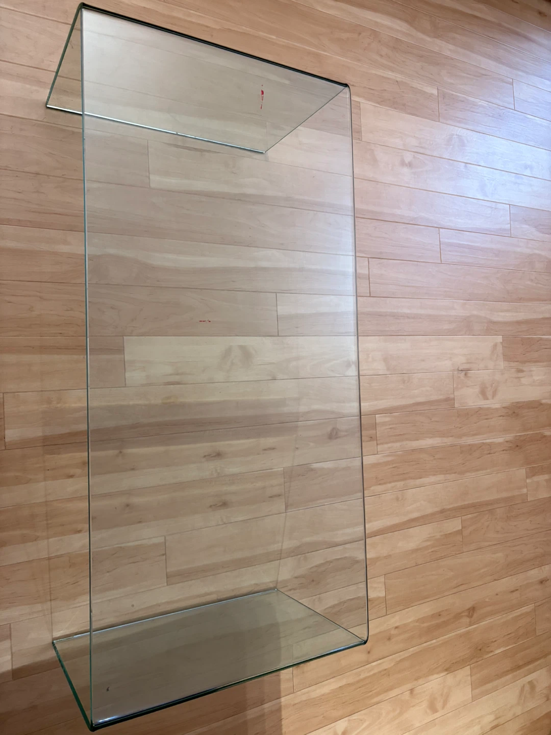 Glass Display Case / Terrarium - photo 5
