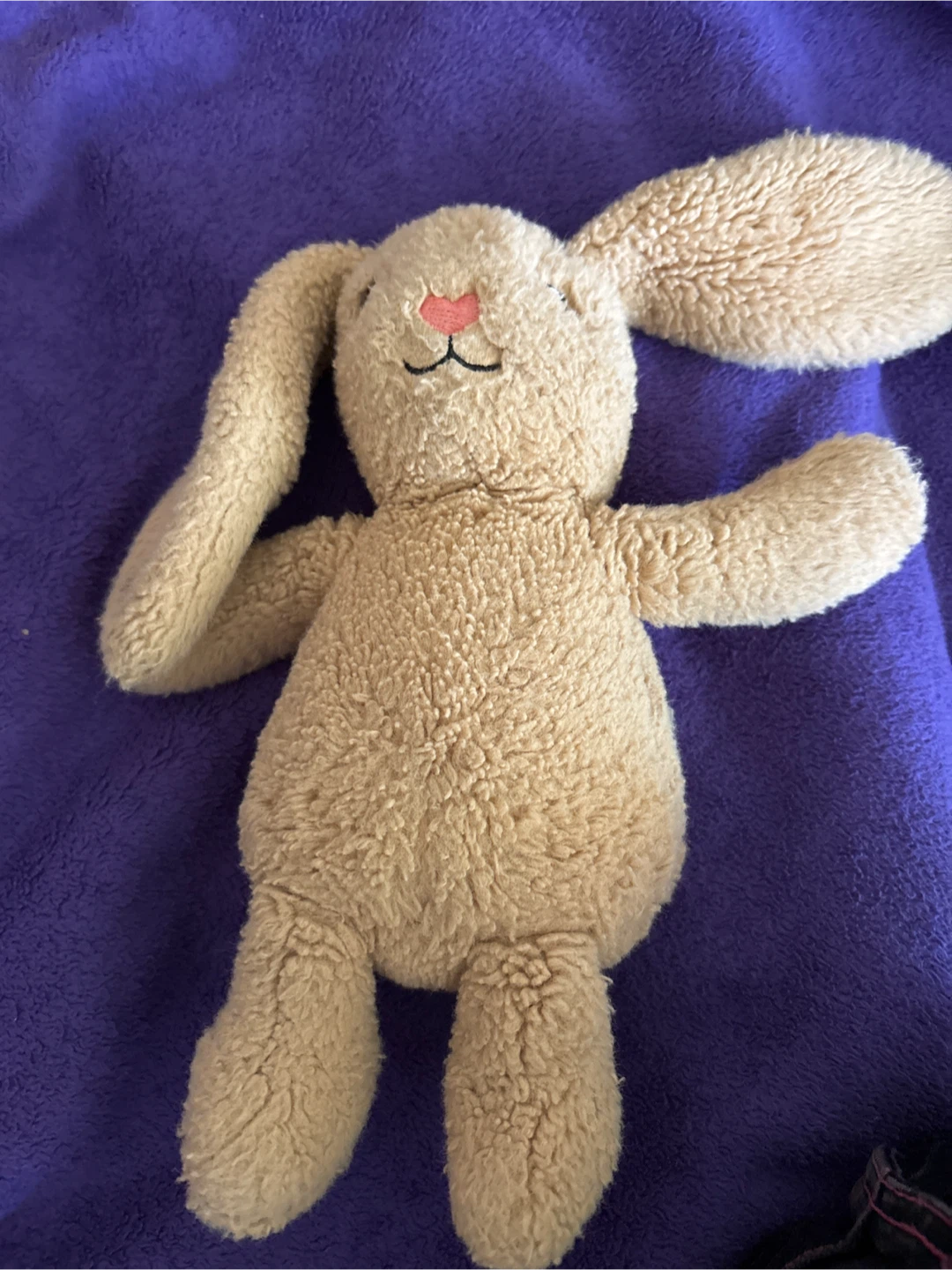 Brown Plush Bunny