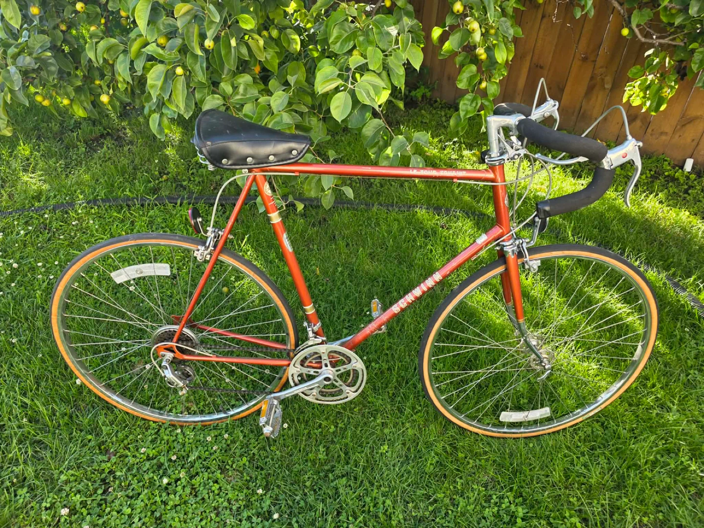 schwinn Le Tour Tourist road bike.Rear tire has slow leak,