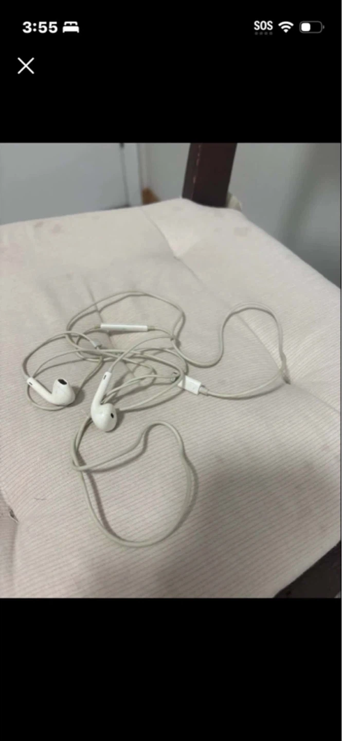 Apple EarPods