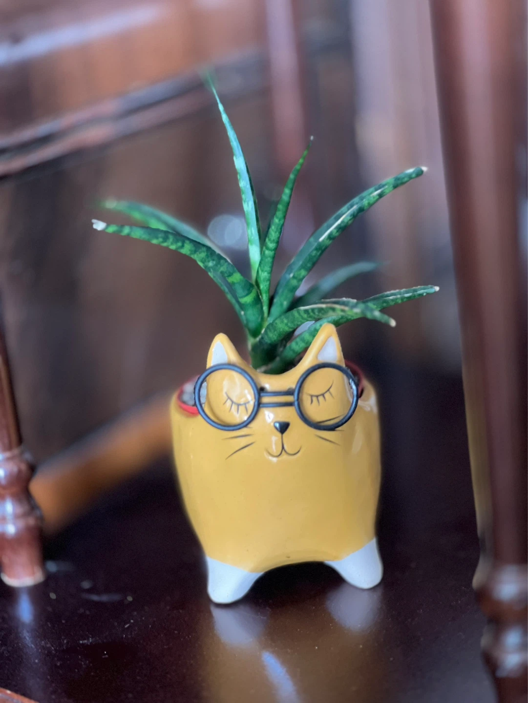 Looking for the perfect teacher’s gift? - photo 3