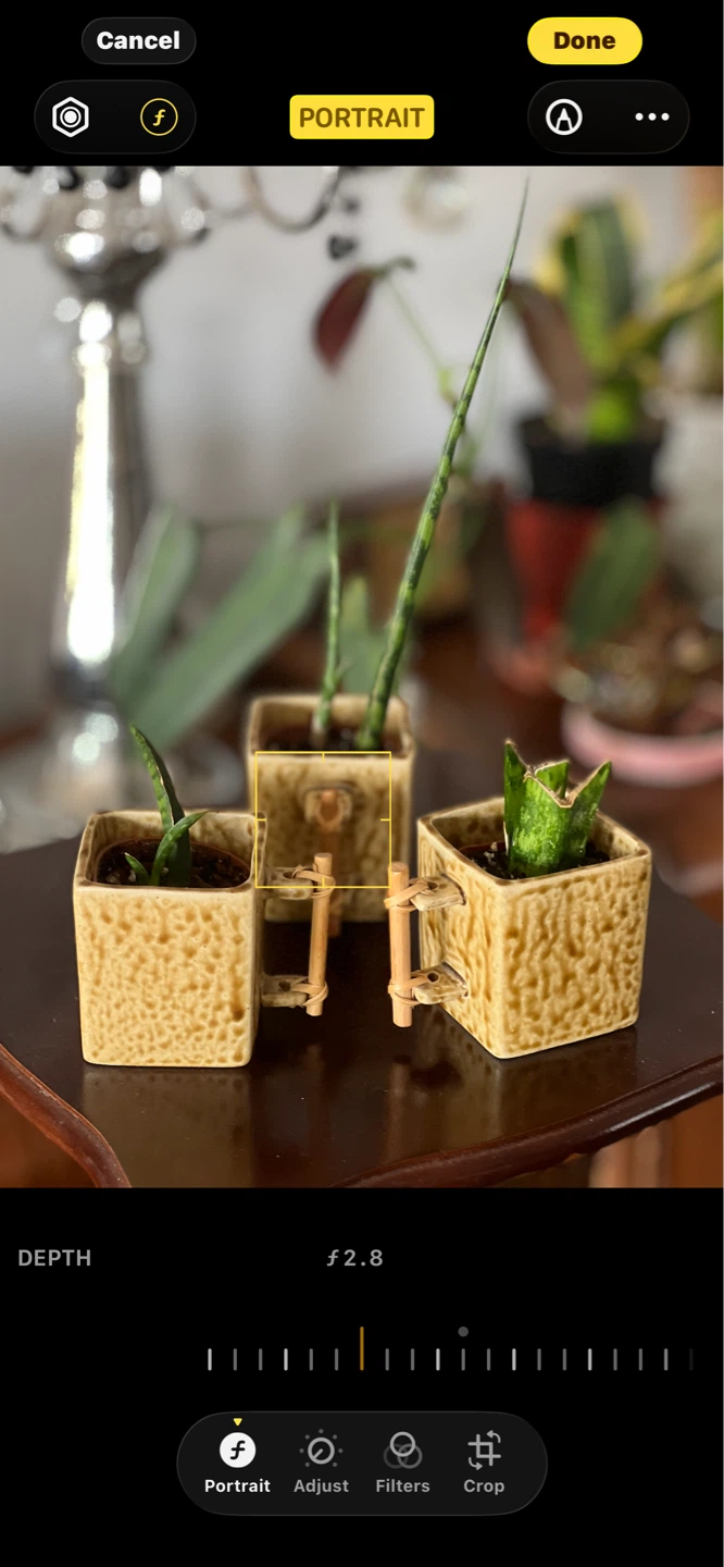 Looking for the perfect teacher’s gift? - photo 2