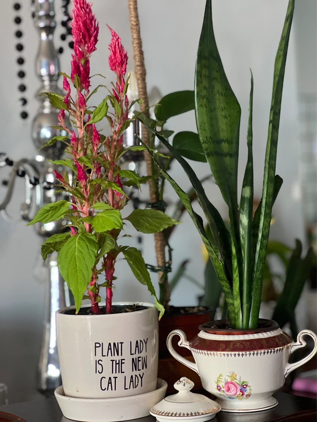 Looking for the perfect teacher’s gift? - photo 4
