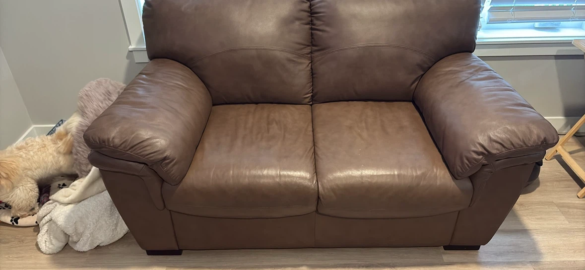 Couch and loveseat leather