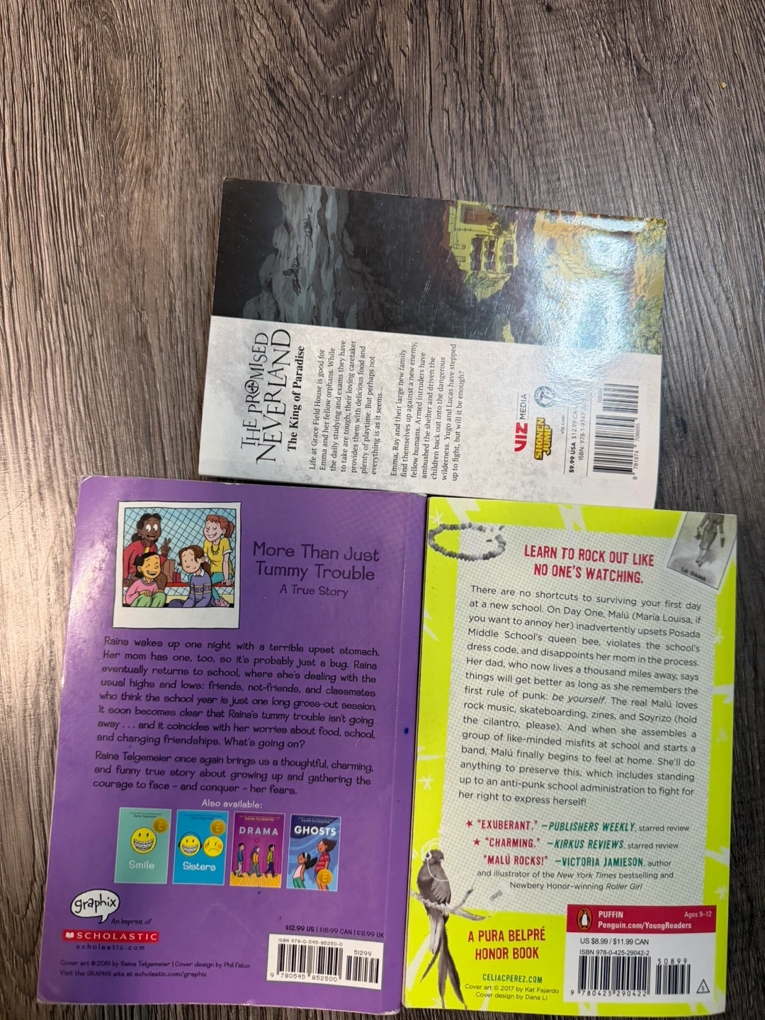 The Promised Neverland, Guts, and The First Rule of Punk Books - photo 2