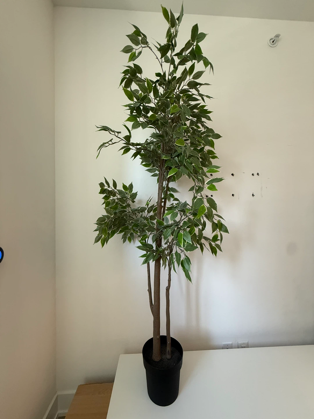 Artificial Ficus Tree