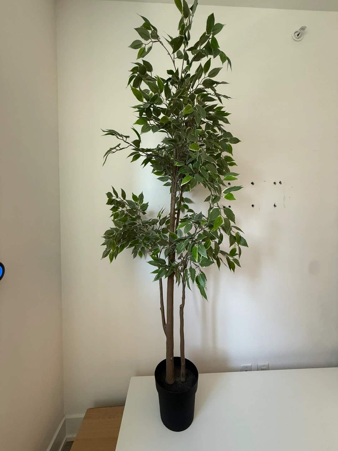 Artificial Ficus Tree - photo 2