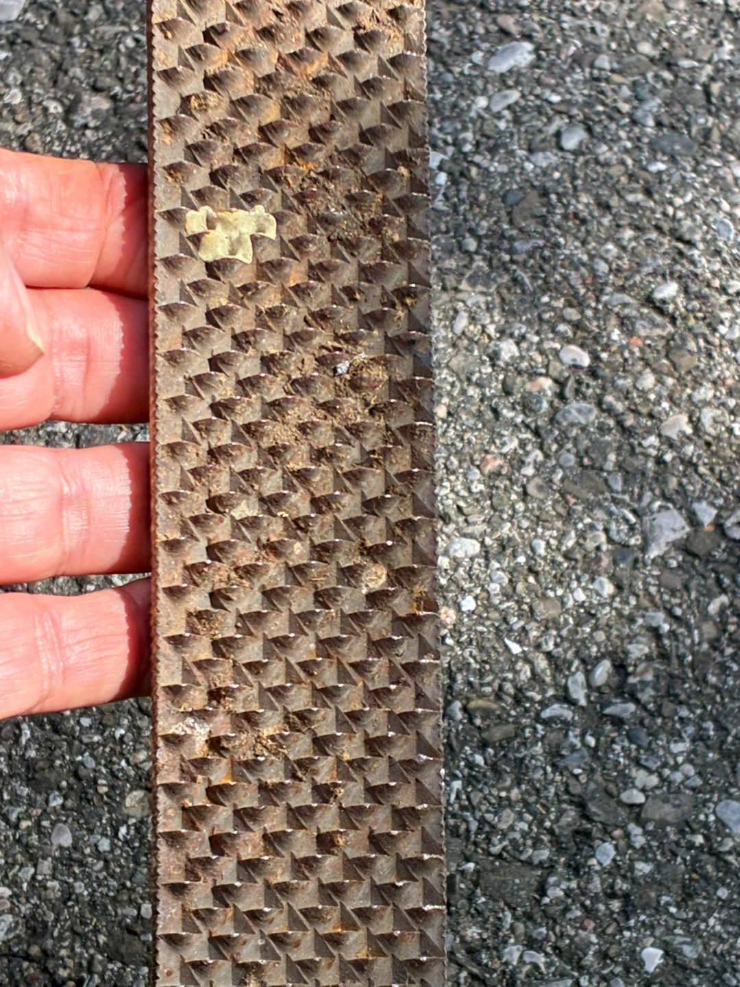Antique tool 16” Farrier Horse Rasp File vintage 1900 metal - photo 2