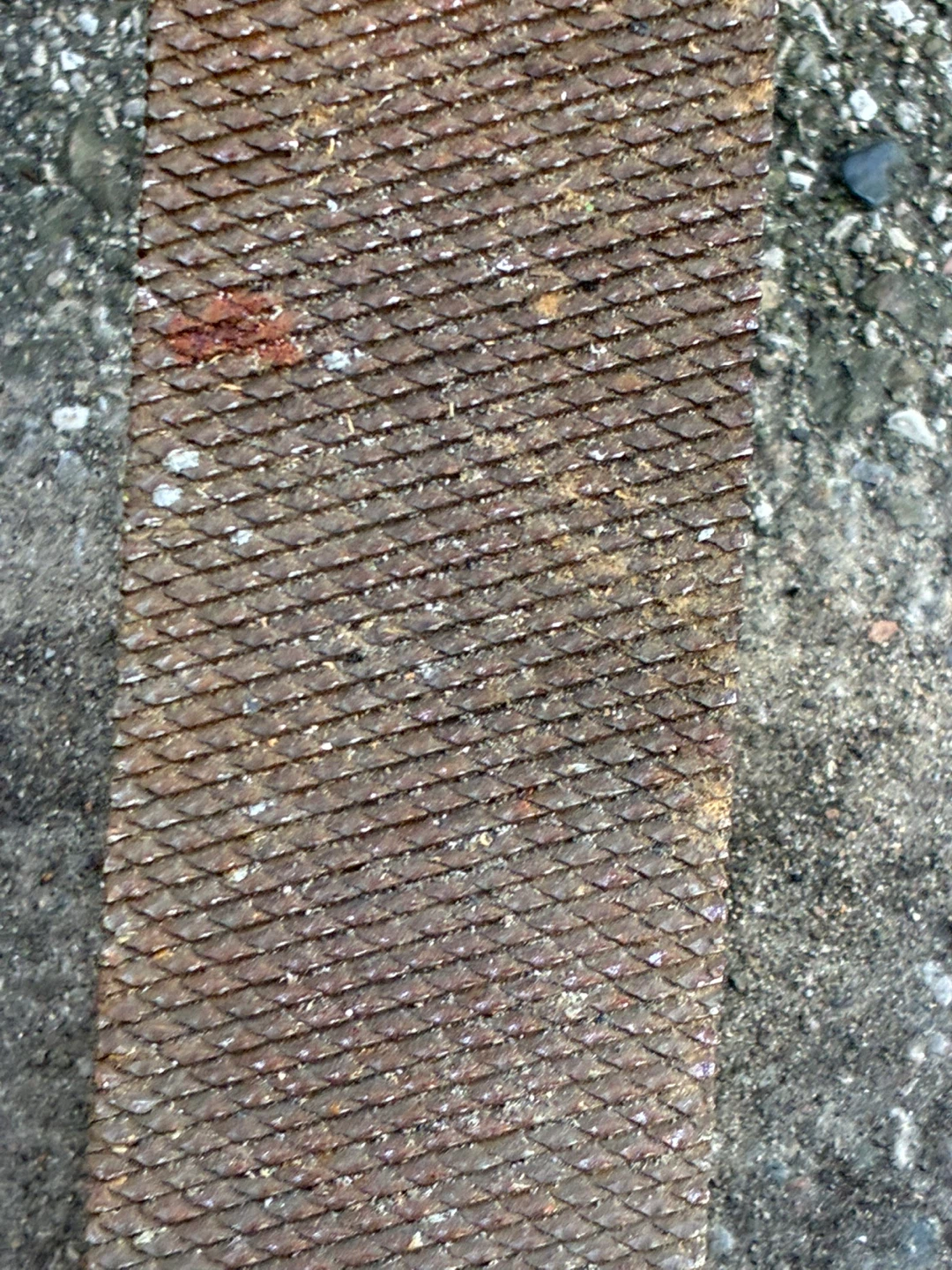 Antique tool 16” Farrier Horse Rasp File vintage 1900 metal - photo 4