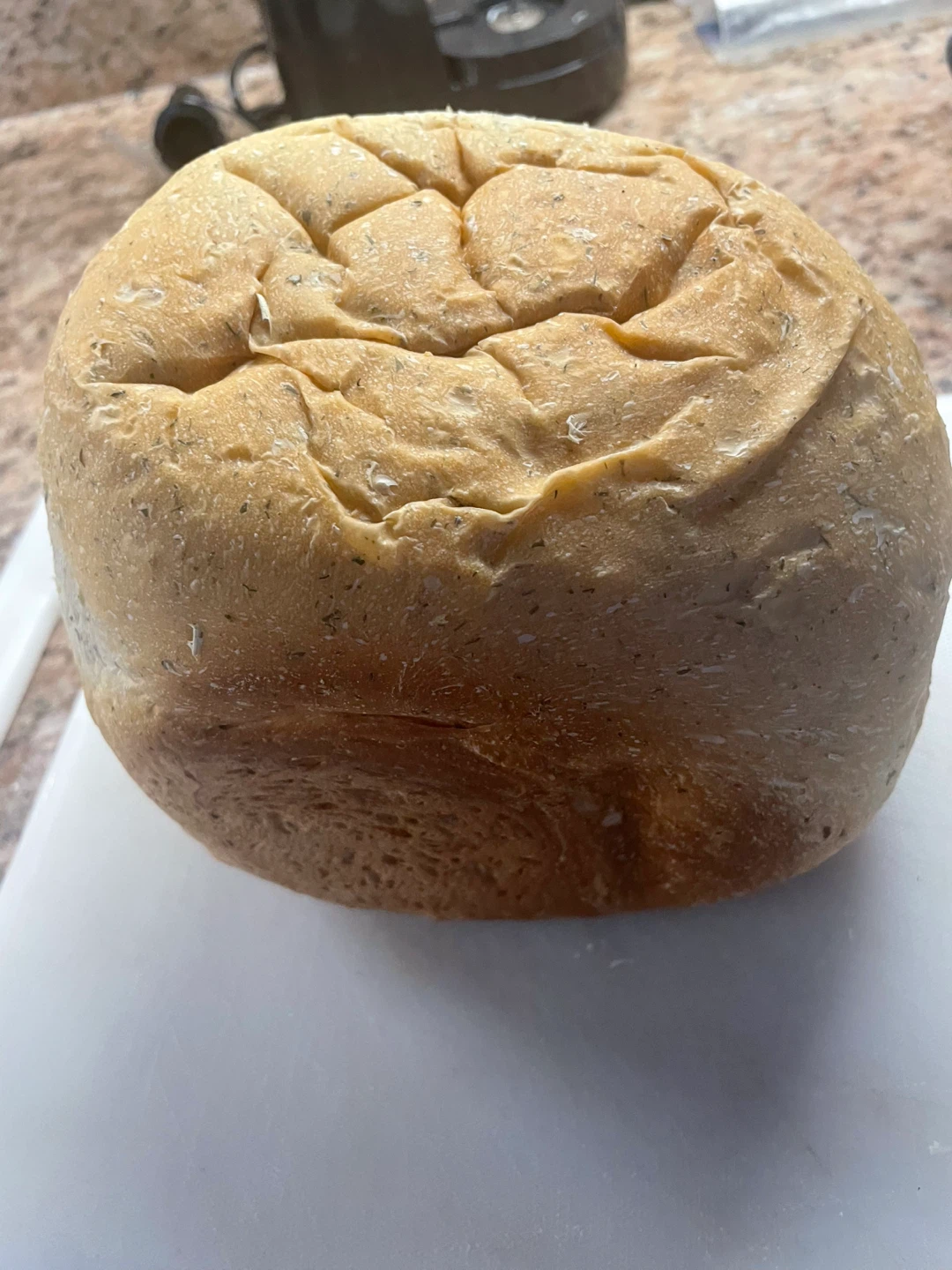 Fresh homemade bread - photo 4