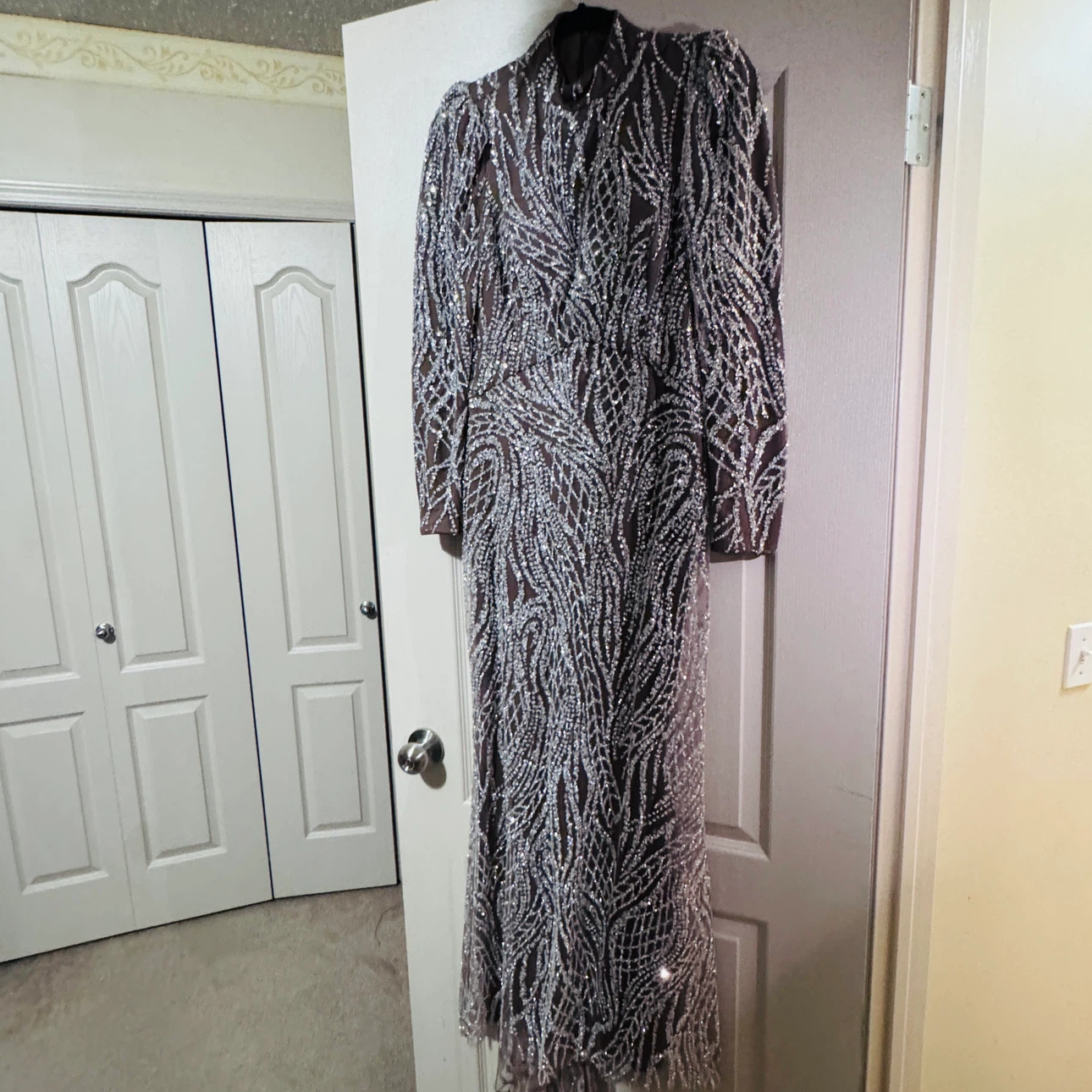 Sparkly Long Sleeve Evening Gown