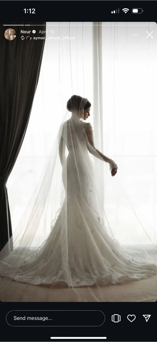 Wedding Dress with Veil