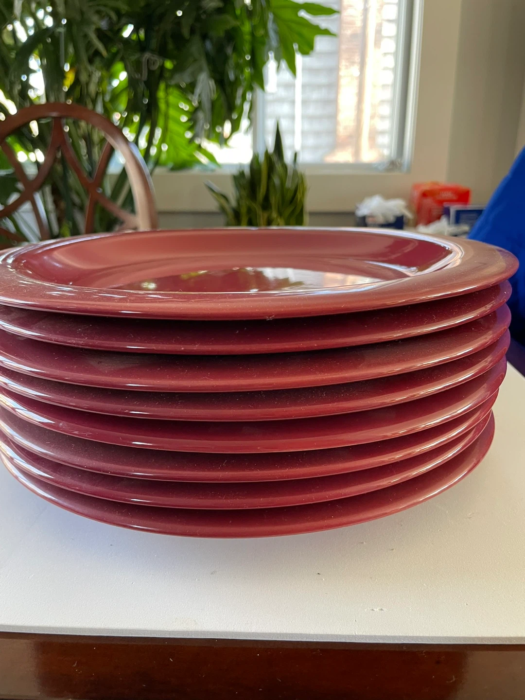 New Dinner Plates - Set of 8