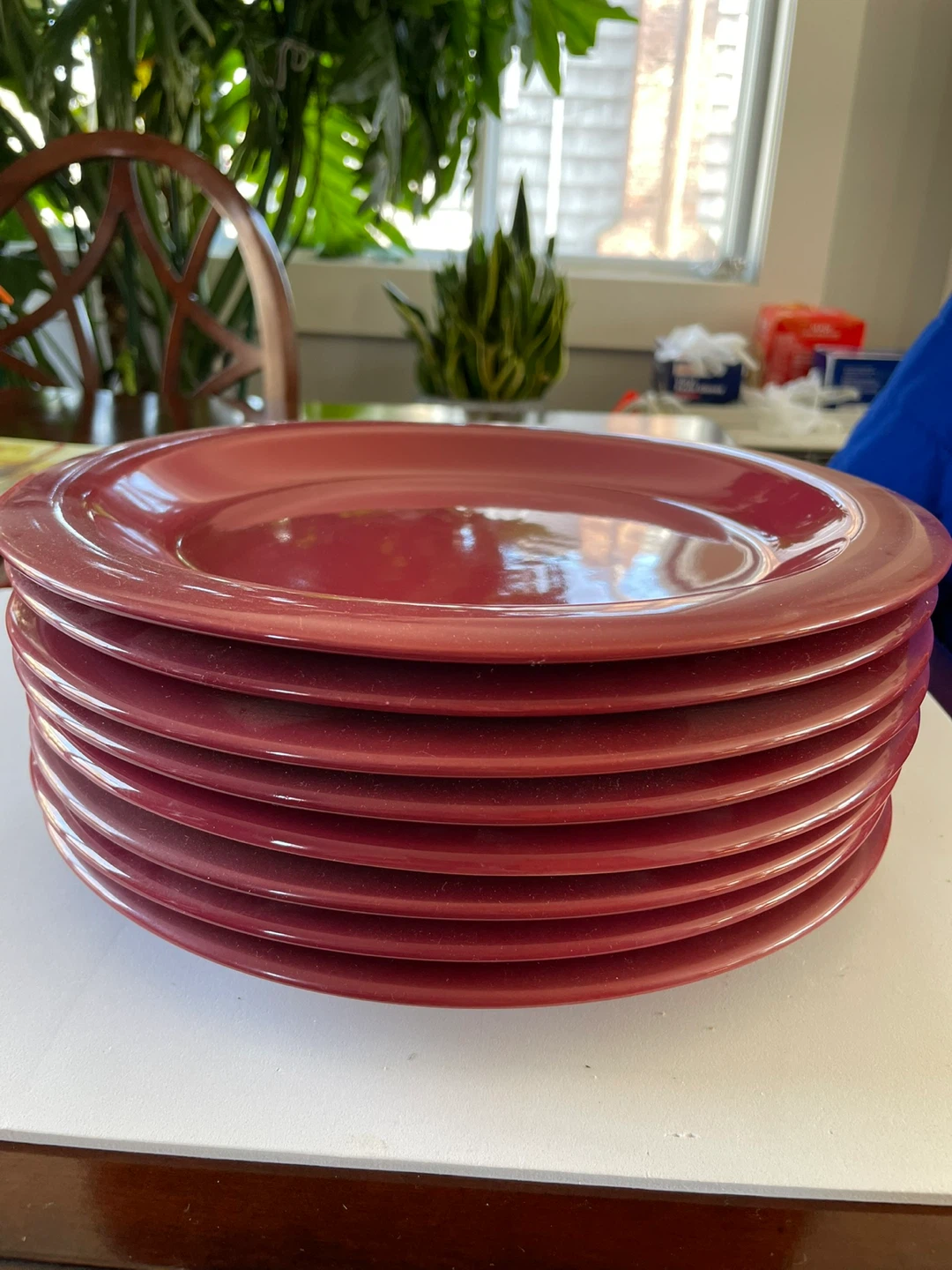 New Dinner Plates - Set of 8 - photo 2