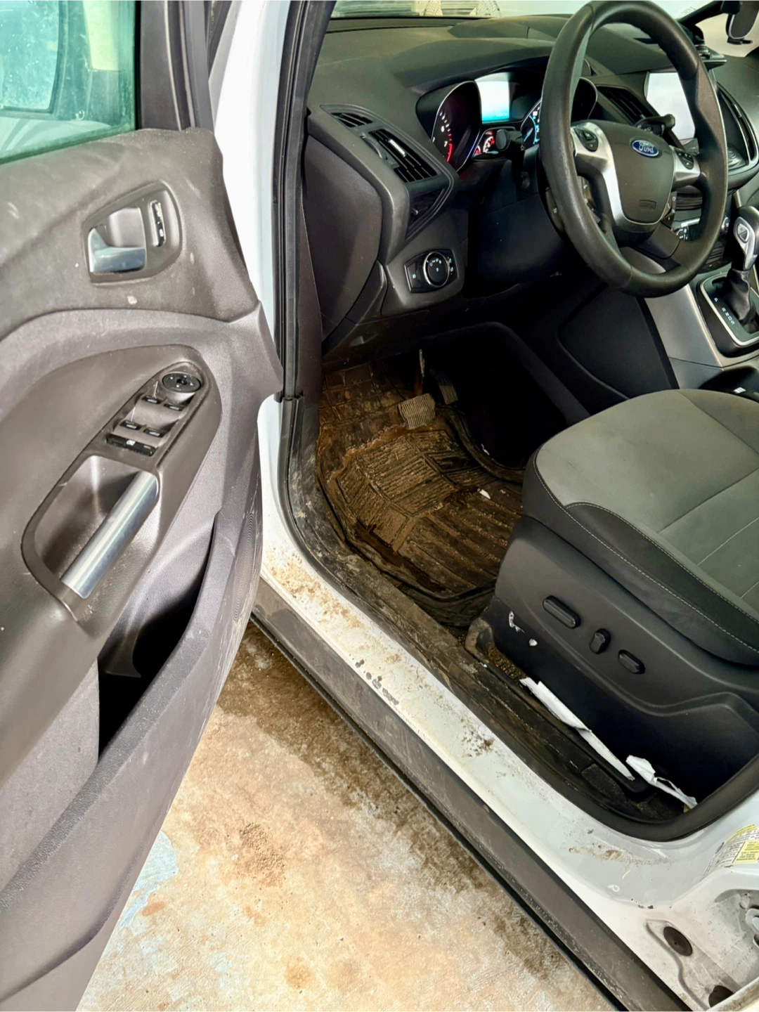 Auto Detailing