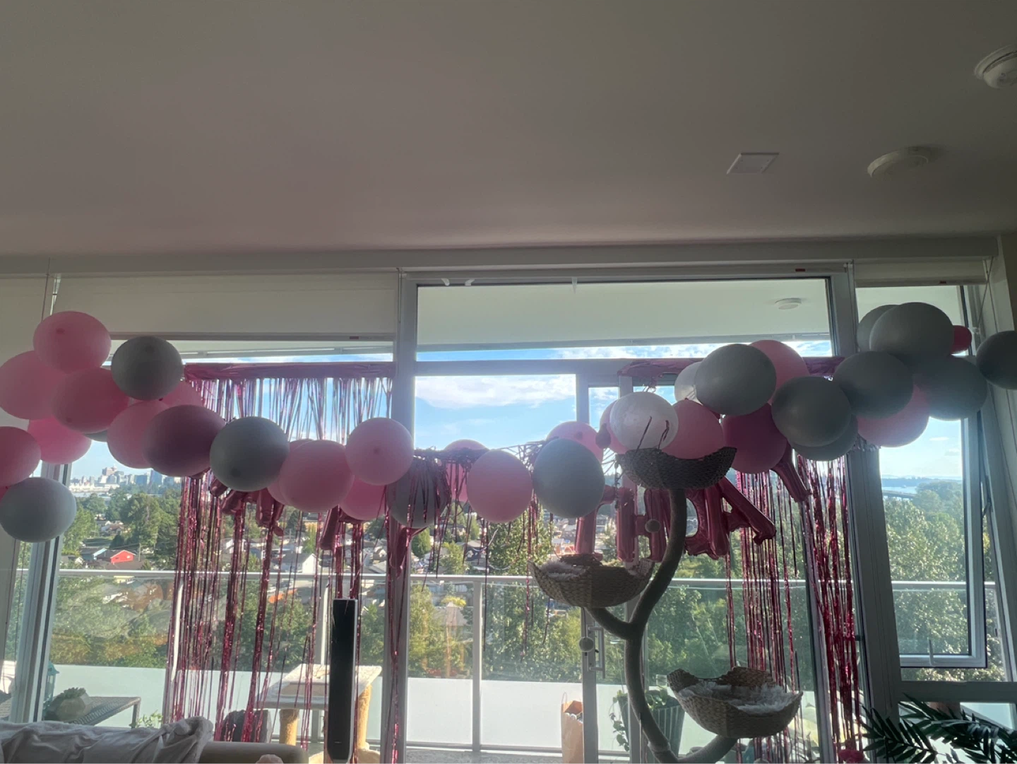 Balloon Arch - photo 3